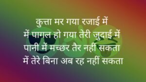 Funny Shayari in Hindi 2 lines, 2 line Funny Shayari For Best Friend, लड़कियों पर फनी शायरी, Funny Shayari For Friends in Hindi, तारीफ फनी शायरी