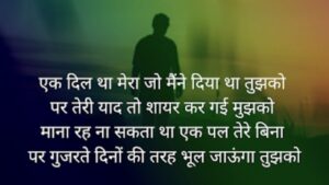 रह ना सकता था एक पल तेरे बिना  Sad Shayari In Hindi